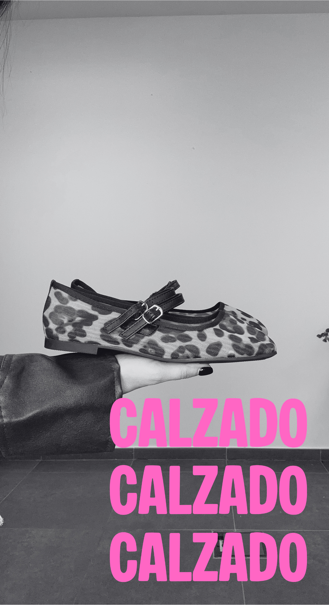 Calzado